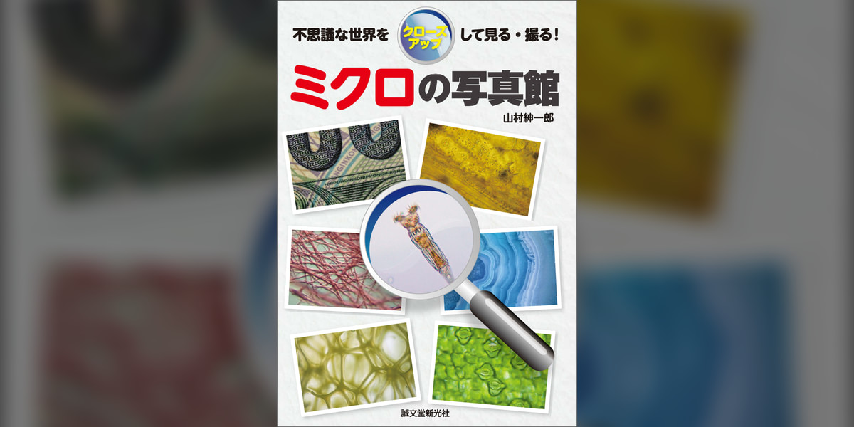 ミクロの写真館:不思議な世界をクローズアップして見る・撮る!(書籍) - 電子書籍 | U-NEXT 初回600円分無料