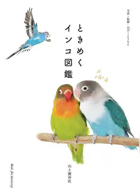 ときめくインコ図鑑