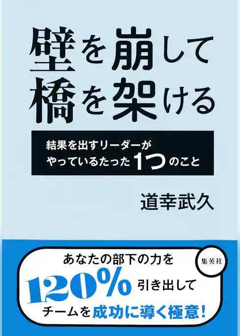 壁を崩して橋を架ける　結果を出すリーダーがやっているたった１つのこと