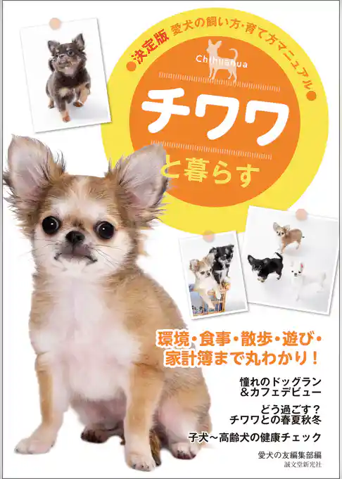 チワワと暮らす