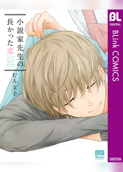 小説家先生の長かった恋