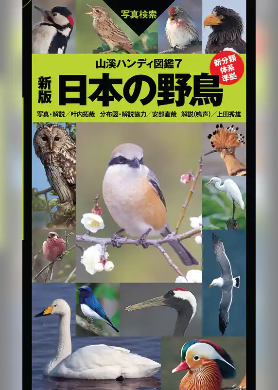 山溪ハンディ図鑑7　新版　日本の野鳥