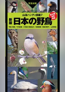 山溪ハンディ図鑑7　新版　日本の野鳥