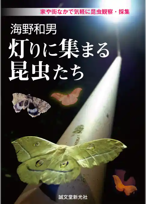 海野和男 灯りに集まる昆虫たち：家や街なかで気軽に昆虫観察・採集