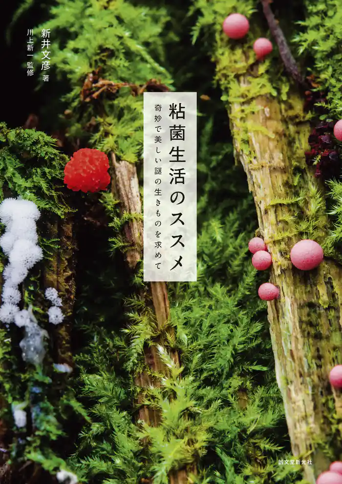 粘菌生活のススメ:奇妙で美しい謎の生きものを求めて