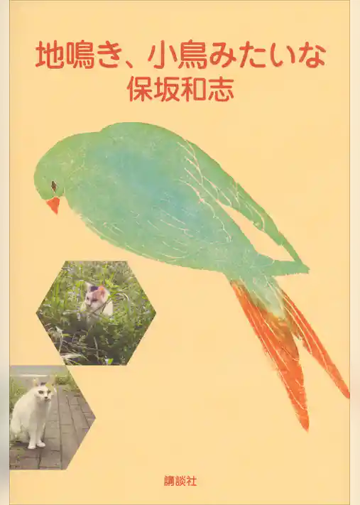 地鳴き、小鳥みたいな