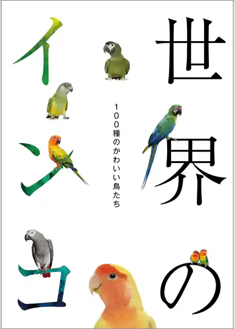 世界のインコ