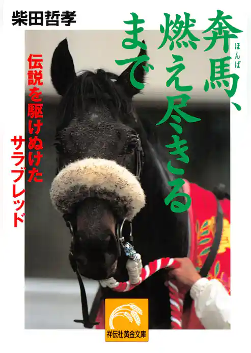 奔馬、燃え尽きるまで