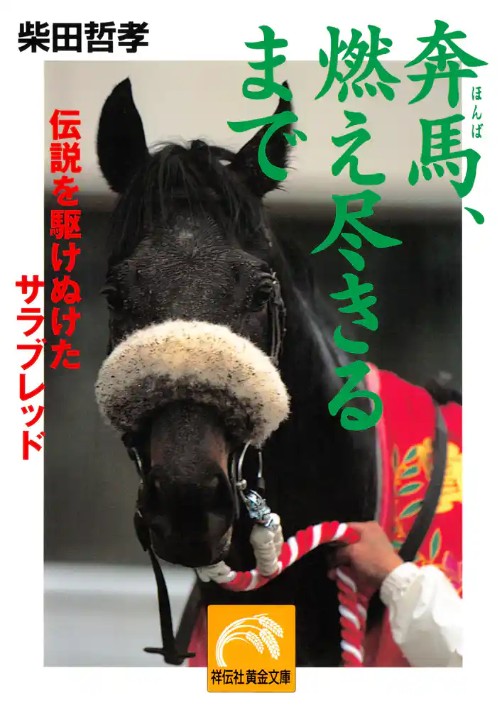 奔馬、燃え尽きるまで