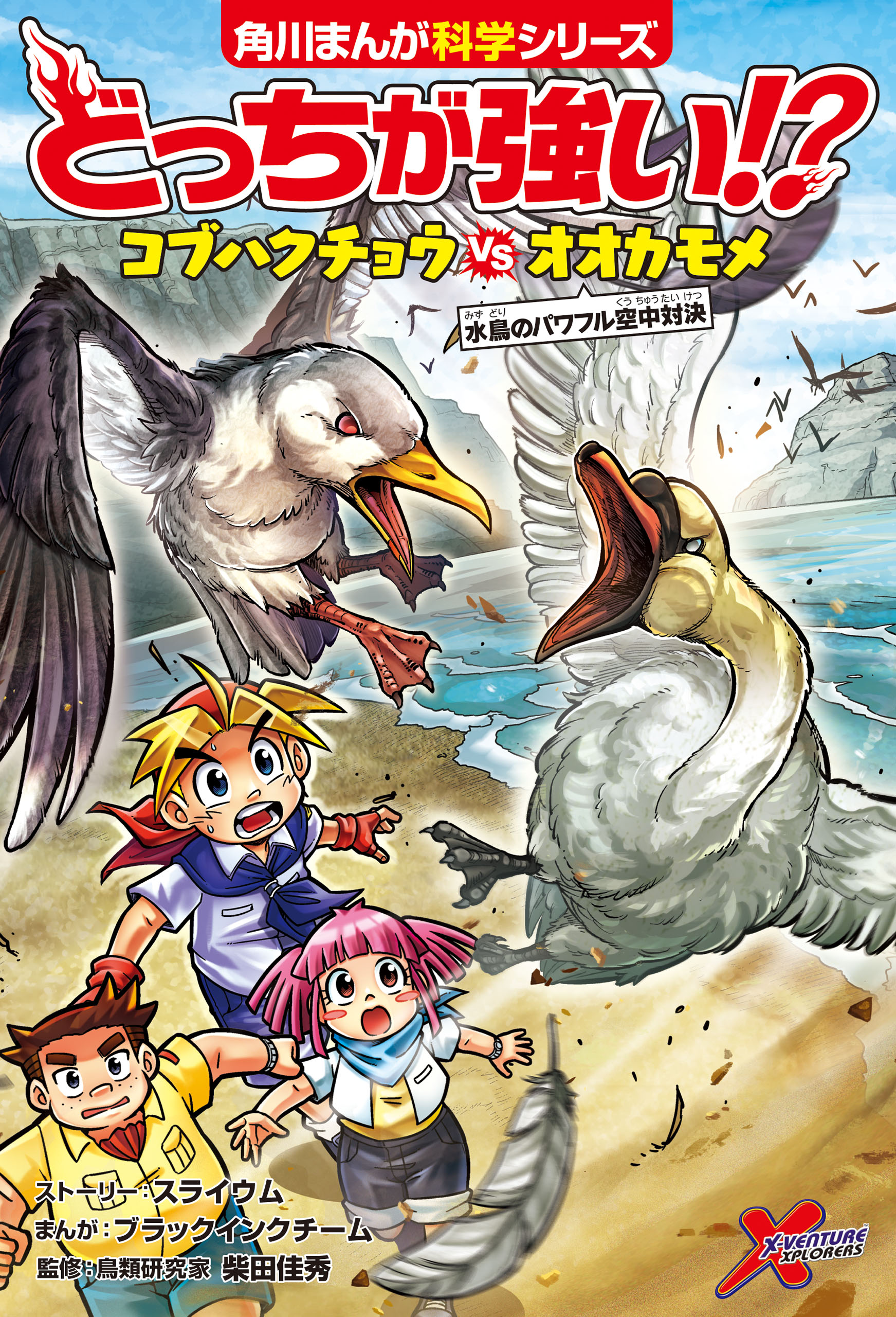 どっちが強い！？ コブハクチョウvsオオカモメ 水鳥のパワフル空中対決