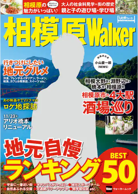 相模原Walker