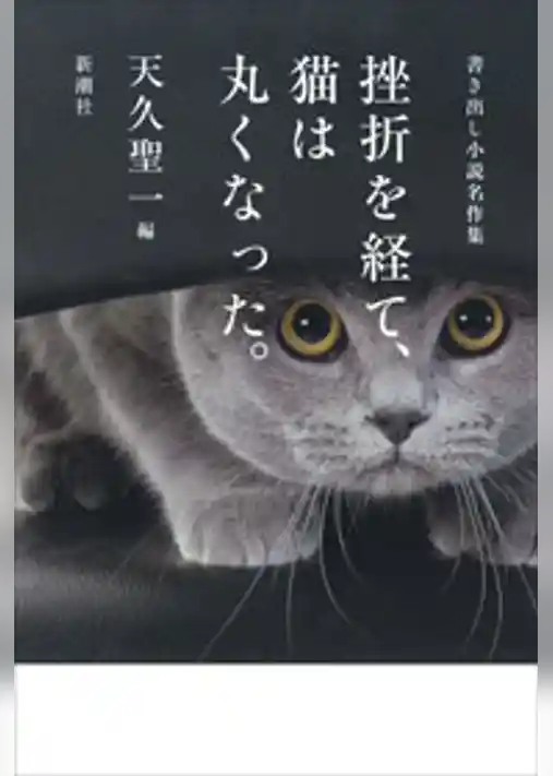 挫折を経て、猫は丸くなった。―書き出し小説名作集―