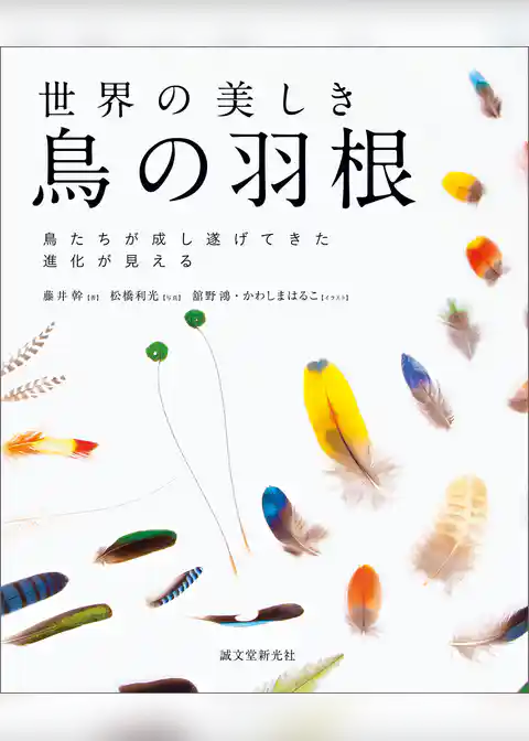 世界の美しき鳥の羽根：鳥たちが成し遂げてきた進化が見える