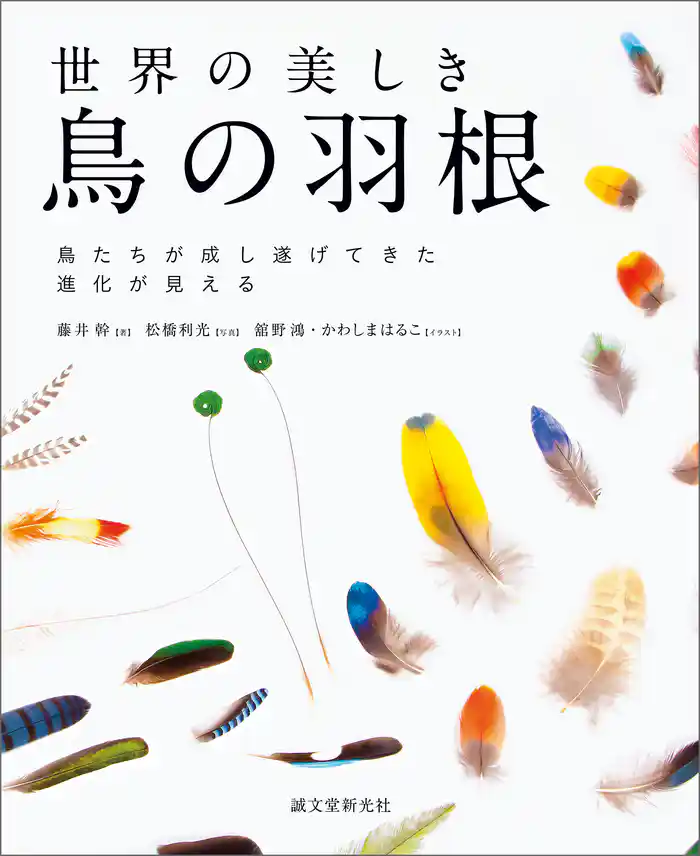 世界の美しき鳥の羽根:鳥たちが成し遂げてきた進化が見える