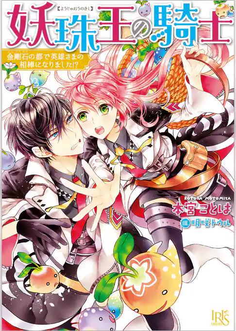 妖珠王の騎士 金剛石の都で英雄さまの相棒になりました！？