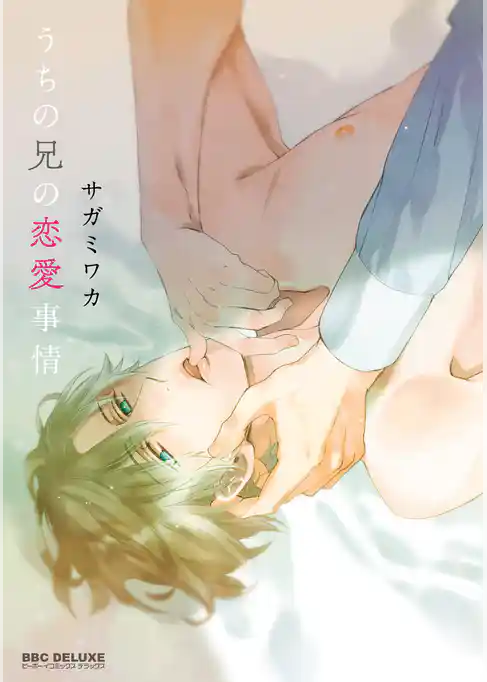 うちの兄の恋愛事情【電子限定かきおろし付】