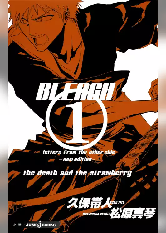 BLEACH letters from the other side ―new edition―
