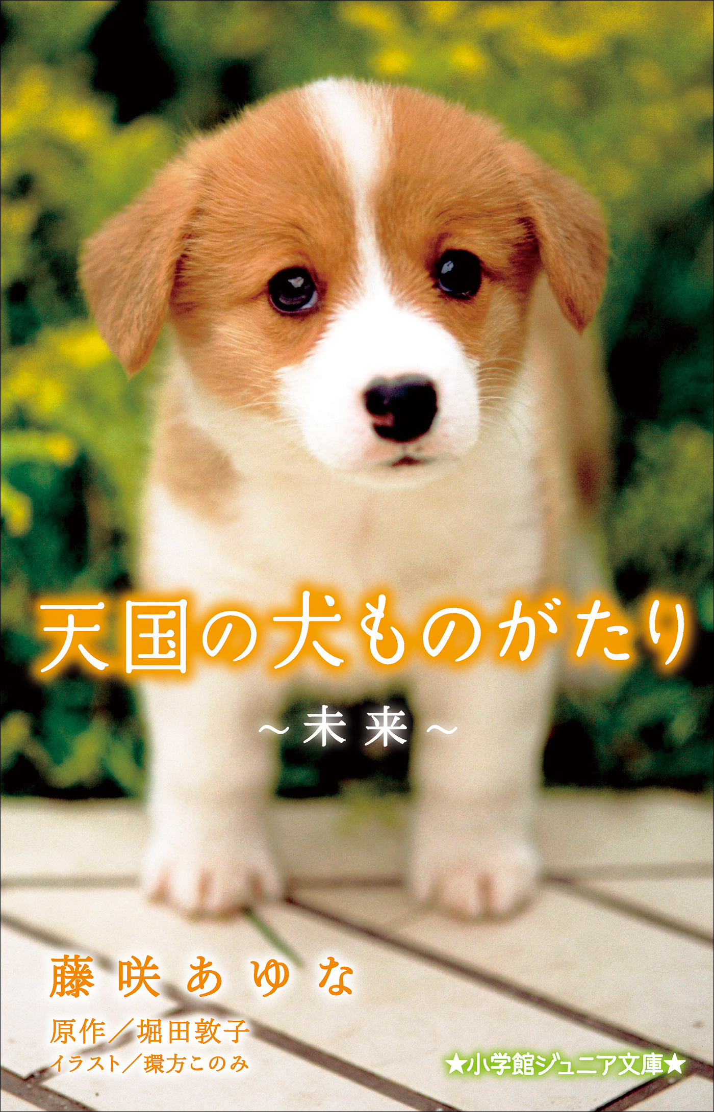 小学館ジュニア文庫 天国の犬ものがたり～未来～(ラノベ) - 電子書籍