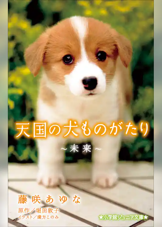 小学館ジュニア文庫　天国の犬ものがたり～未来～