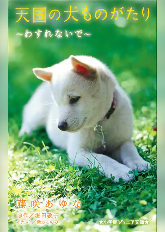 小学館ジュニア文庫　天国の犬ものがたり～わすれないで～
