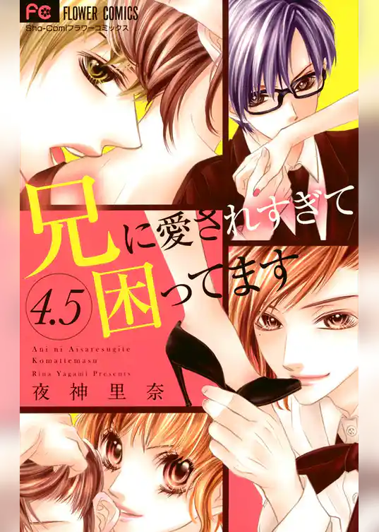 兄に愛されすぎて困ってます 4.5