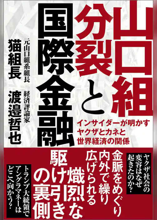 山口組分裂と国際金融　インサイダーが明かすヤクザとカネと世界経済の関係