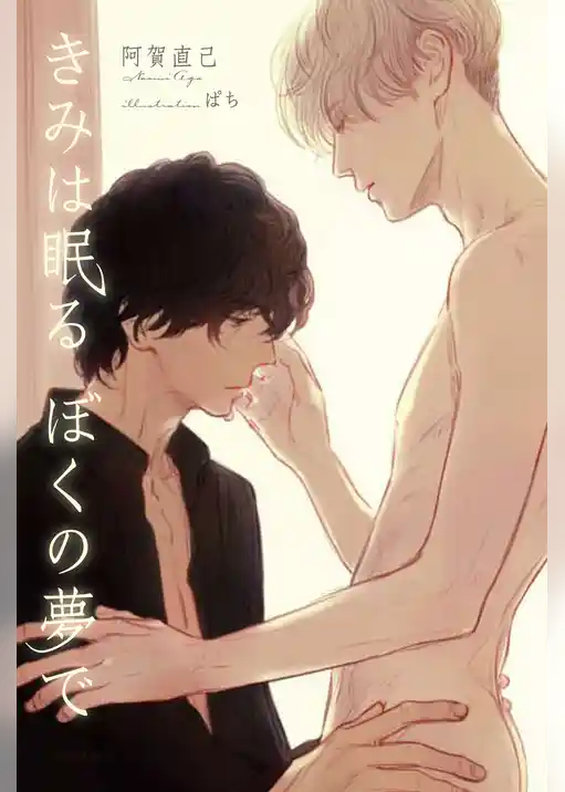 きみは眠る ぼくの夢で