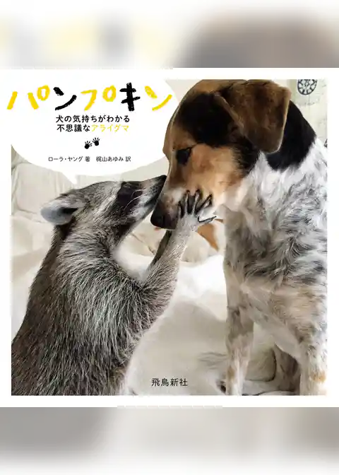 パンプキン――犬の気持ちがわかる不思議なアライグマ