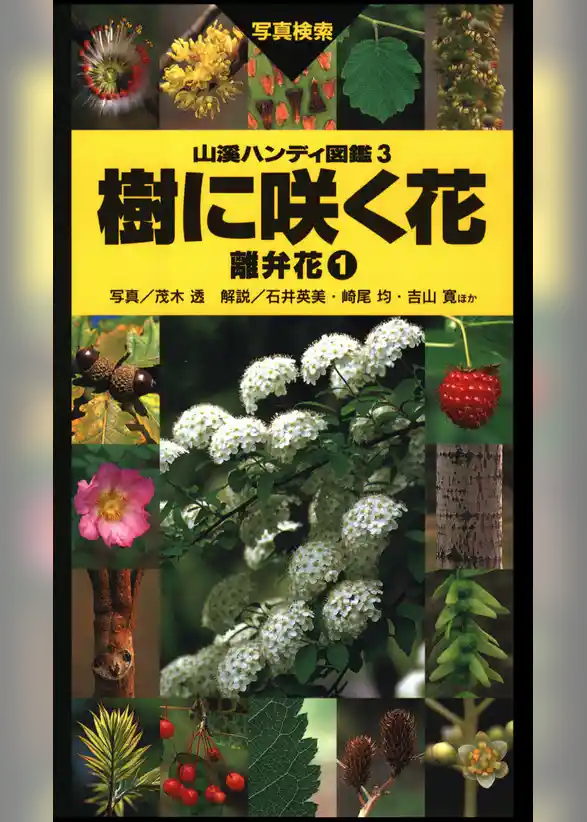 山溪ハンディ図鑑3　樹に咲く花 離弁花1