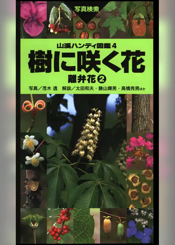 山溪ハンディ図鑑4　樹に咲く花 離弁花2