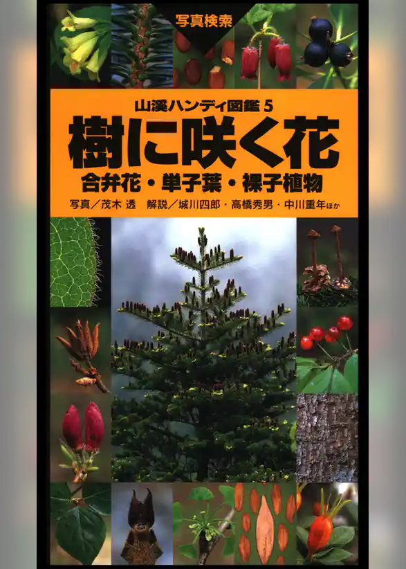 山溪ハンディ図鑑5　樹に咲く花 合弁花・単子葉・裸子植物