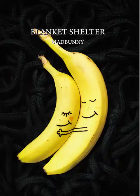 BLANKET SHELTER