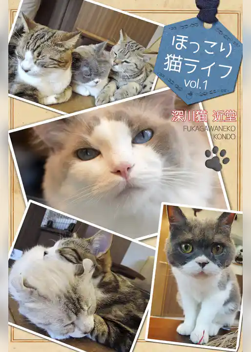 ほっこり猫ライフ　vol.1