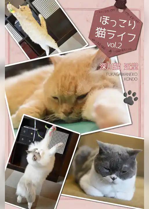 ほっこり猫ライフ　vol.2