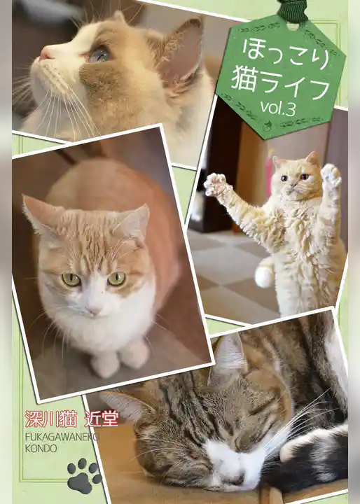 ほっこり猫ライフ　vol.3