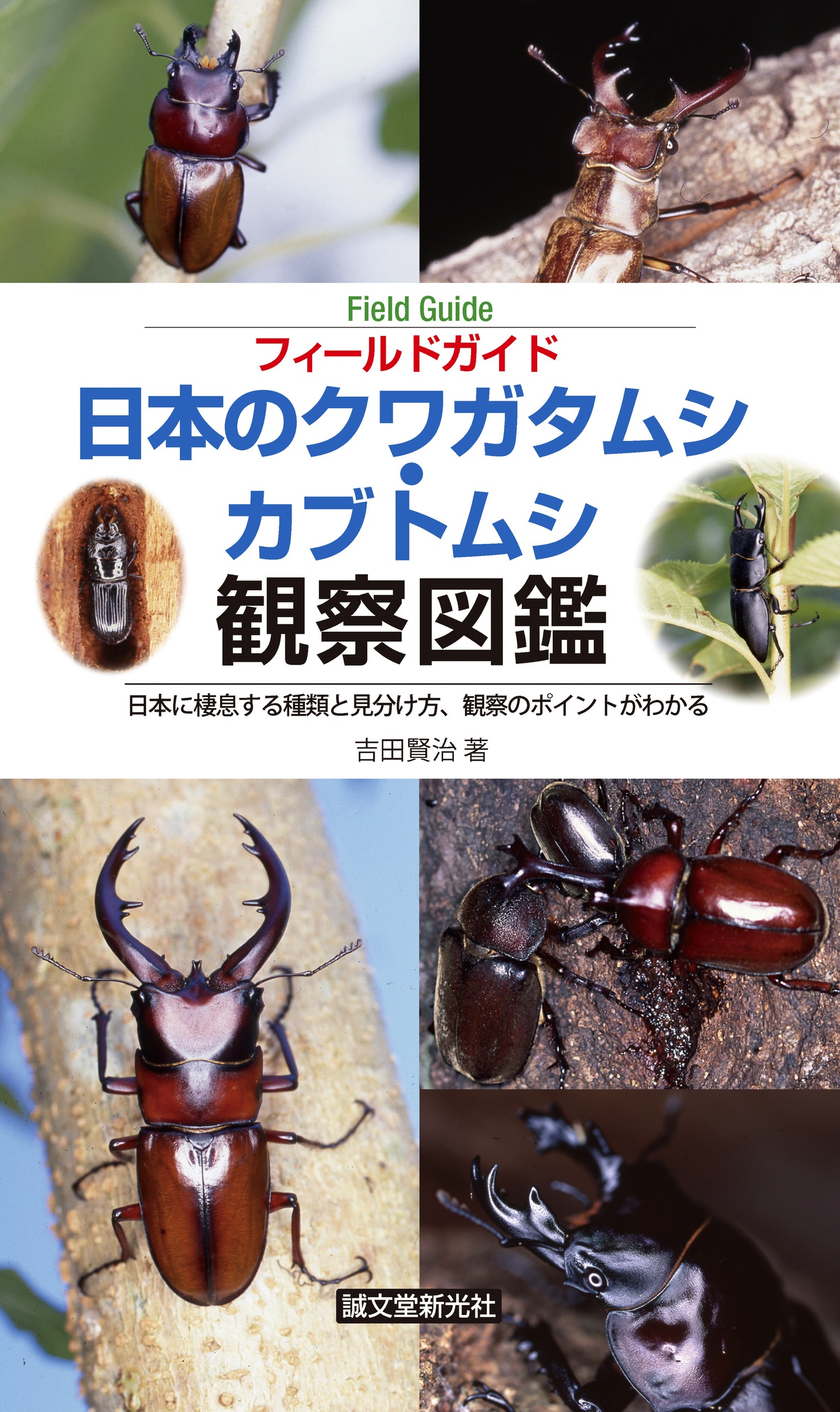日本のクワガタムシ・カブトムシ観察図鑑：日本に棲息する種類と見分け方、観察のポイントがわかる 1巻(書籍) - 電子書籍 | U-NEXT  初回600円分無料