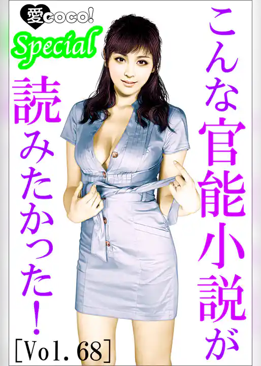 こんな官能小説が読みたかった！vol.68