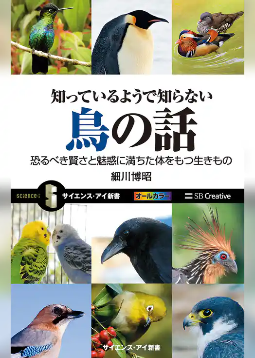 知っているようで知らない鳥の話　恐るべき賢さと魅惑に満ちた体をもつ生きもの