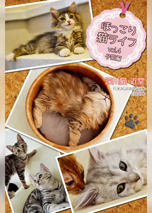 ほっこり猫ライフ　vol.4　子猫編