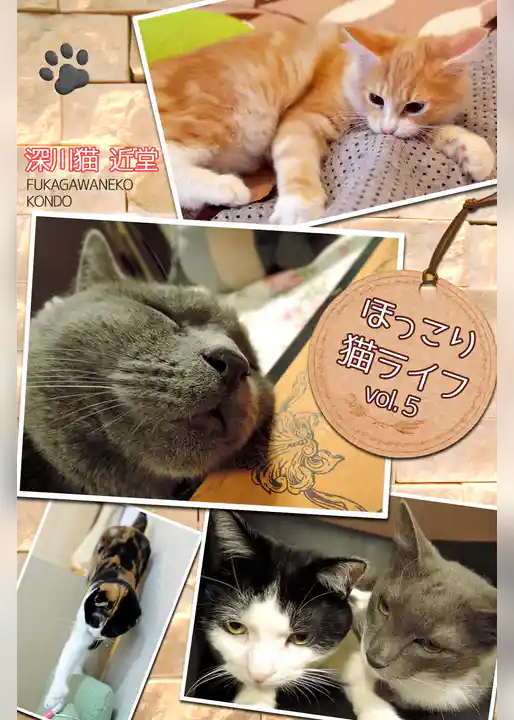ほっこり猫ライフ　vol.5