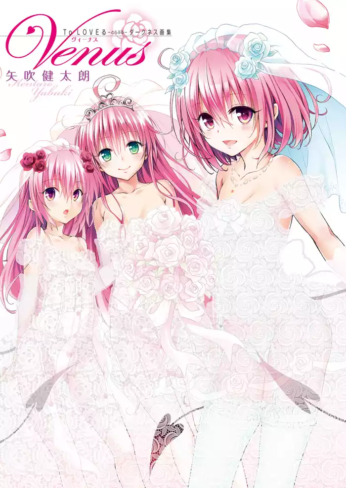 To LOVEる―とらぶる―ダークネス画集 Venus