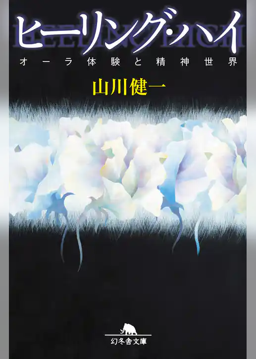 ヒーリング・ハイ オーラ体験と精神世界