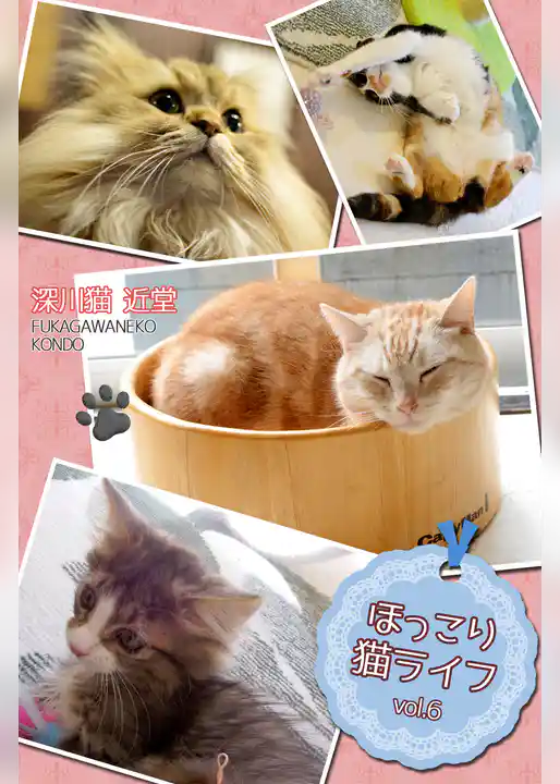 ほっこり猫ライフ　vol.6