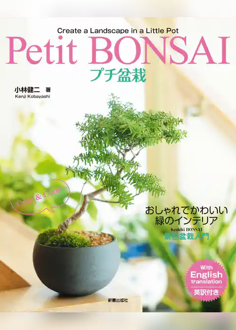 プチ盆栽 おしゃれでかわいい緑のインテリア