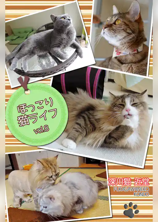 ほっこり猫ライフ　vol.8