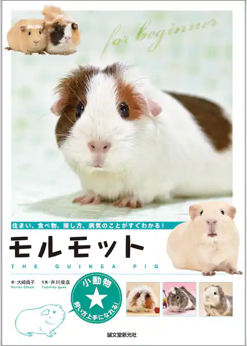 モルモット：住まい、食べ物、接し方、病気のことがすぐわかる！