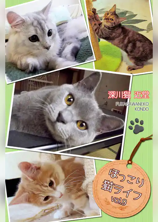 ほっこり猫ライフ　vol.9