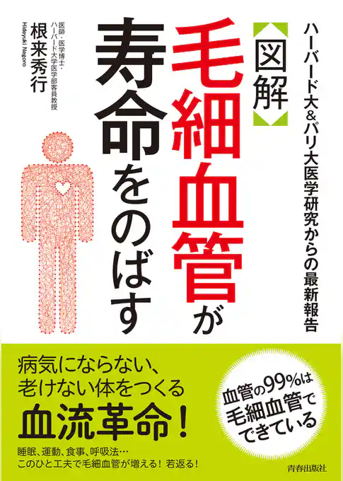 【図解】毛細血管が寿命をのばす