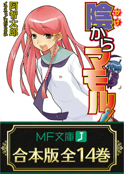 【合本版】陰からマモル！