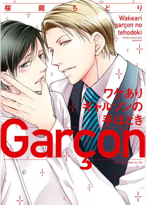 ワケありギャルソンの手ほどき